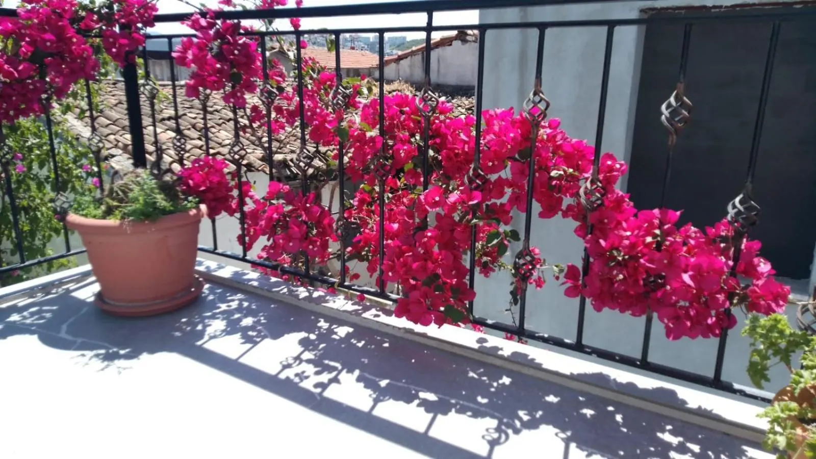 Casa Magnolia Boutique Rooms Kusadasi